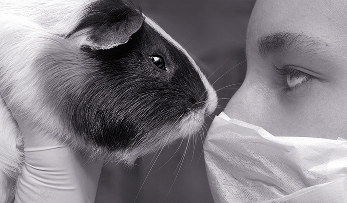 Tierversuche verringern und alternative Testmethoden entwickeln: Wo stehen wir in NRW?